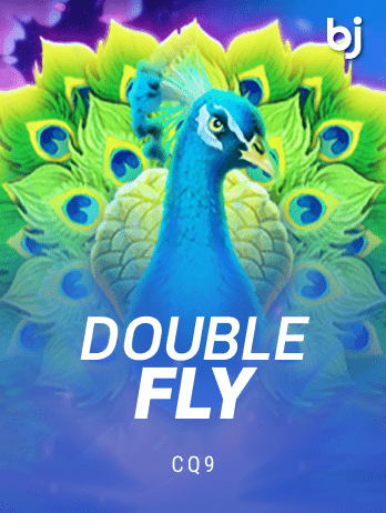 Double Flypng game cover